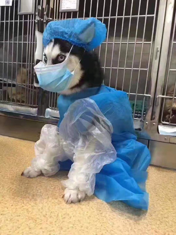 来自朋友的投稿