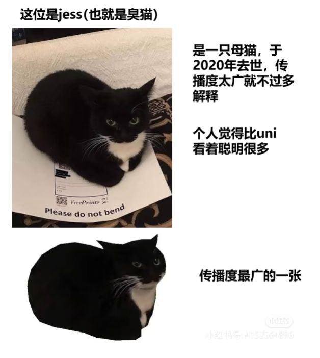 via 匿名
