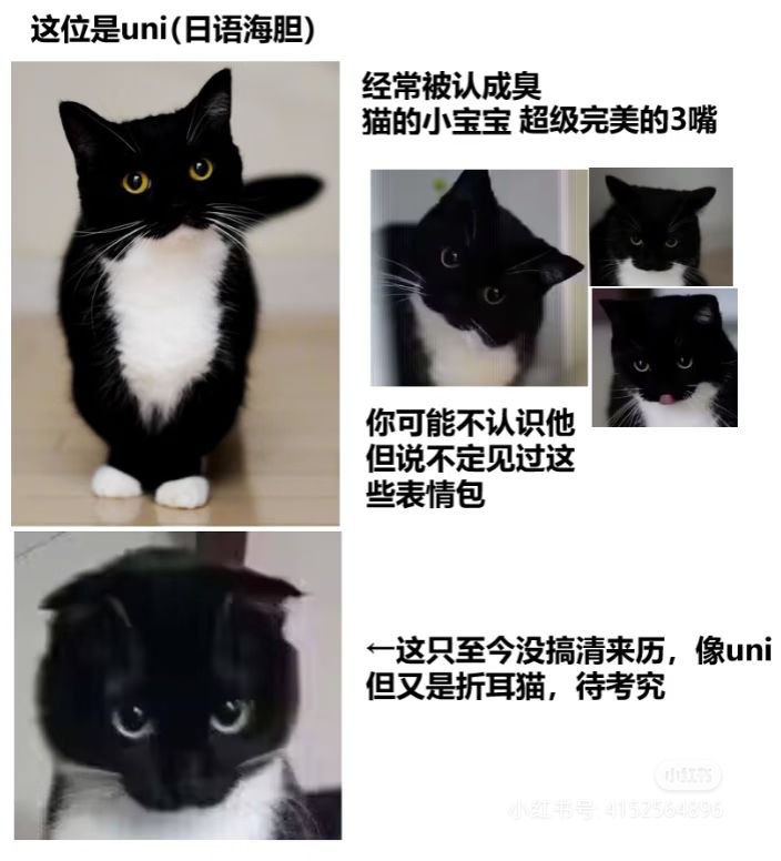 via 匿名