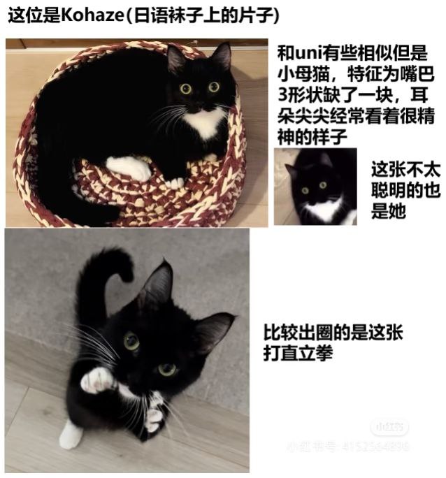 via 匿名